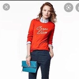 Banana Republic "Carpe Diem" sweater